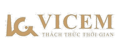 Vicem